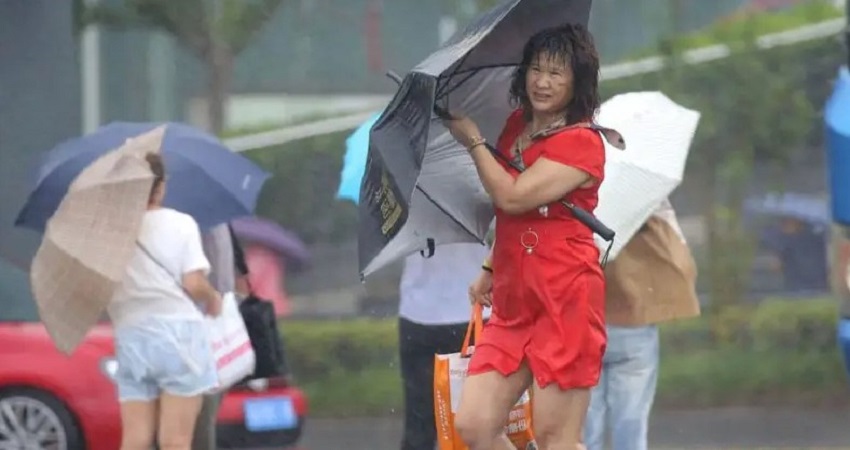 উড়িয়ে নেবে বাতাসে.jpg